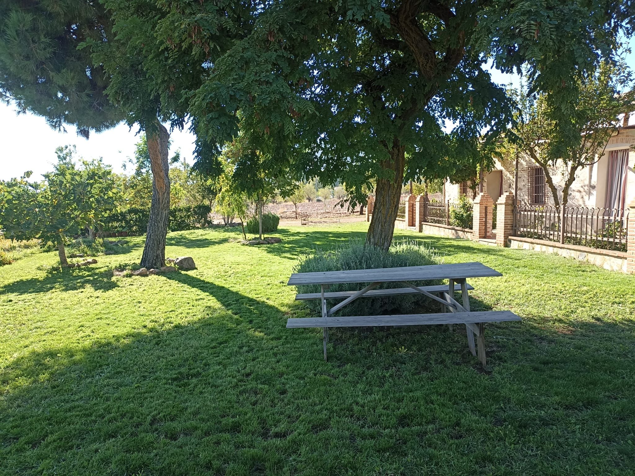 Mesa a la sombra de los árboles